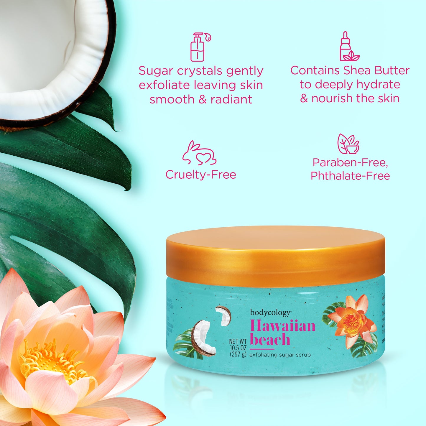 Bodycology Exfoliating Sugar Scrub, Hawaiian Beach – Gently Polishes & Hydrates with Tropical Coconut-Citrus Scent – 10 fl oz Jar