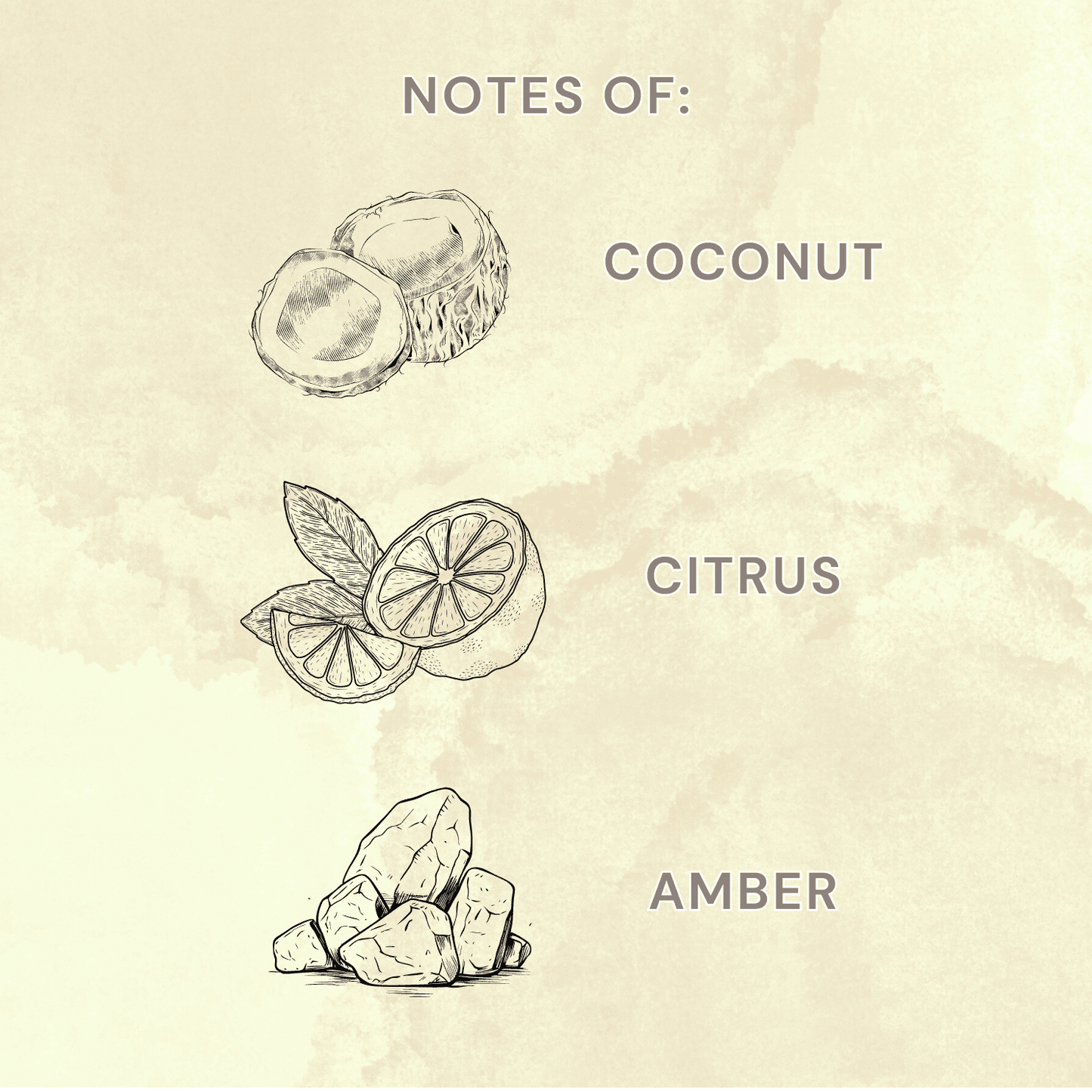 Allswell Calm Scented 2‑Wick Spa Jar Candle – Coconut · Citrus · Amber – 15 oz Allswell