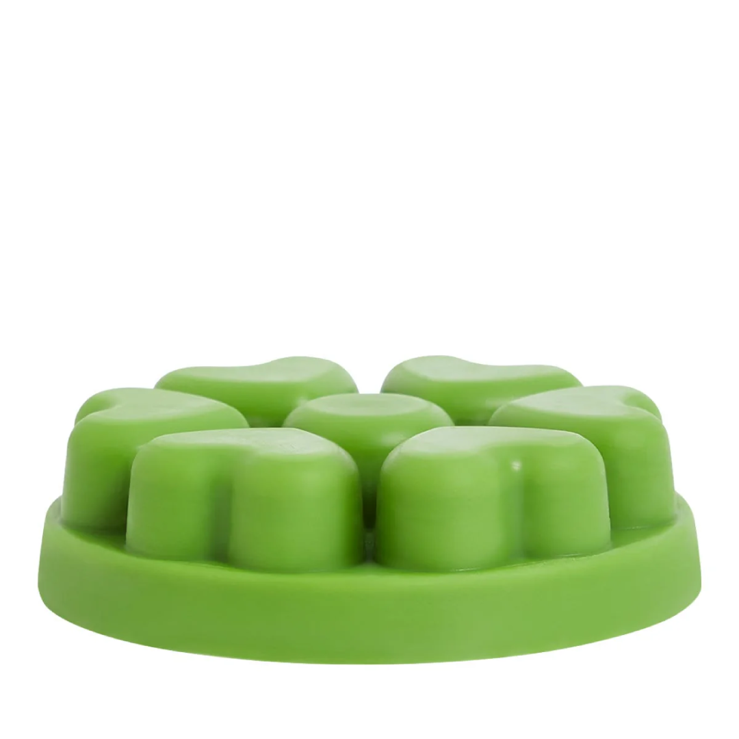 PartyLite Garden Mint Scent Plus Heart Wax Melts 3.2 oz Premium Home Fragrance Wax Cubes for Warmers Fresh Herbal Long Lasting Aroma PartyLite