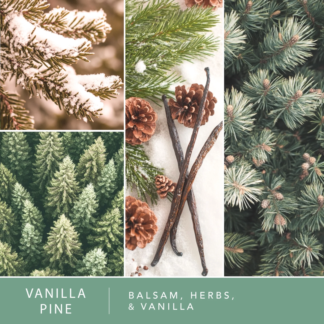 Vanilla Pine Scented Wax Melts by ScentSationals 2.5 oz | Home Fragrance ScentSationals