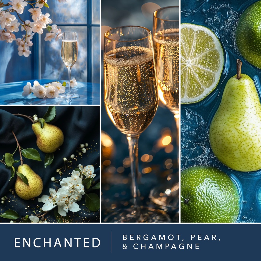 Enchanted Scented Wax Melts by ScentSationals 2.5 oz | Home Fragrance ScentSationals