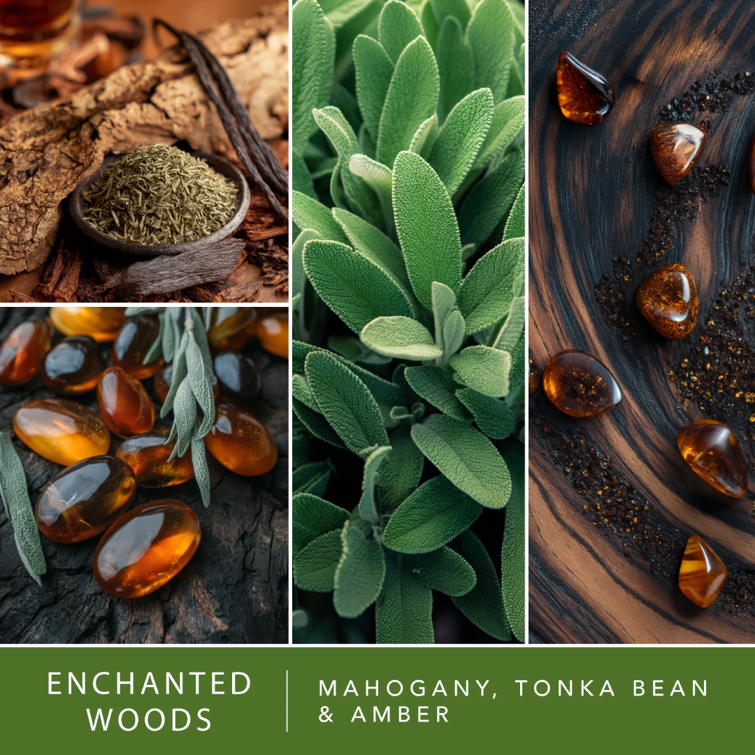 Enchanted Woods Scented Wax Melts by ScentSationals 2.5 oz | Home Fragrance ScentSationals