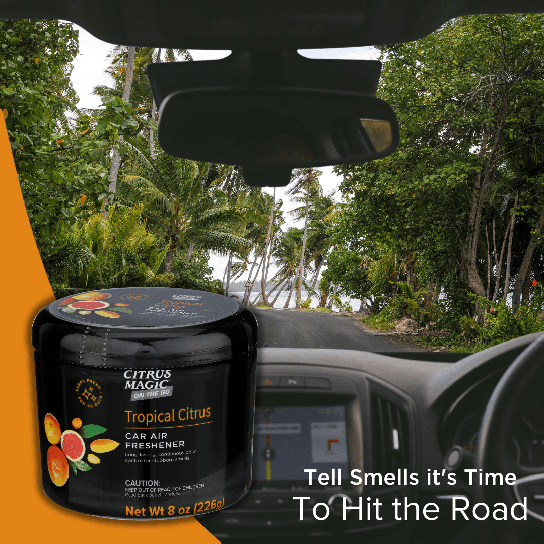 Citrus Magic On The Go Solid Air Freshener for Auto, Tropical Citrus, 8 Ounce