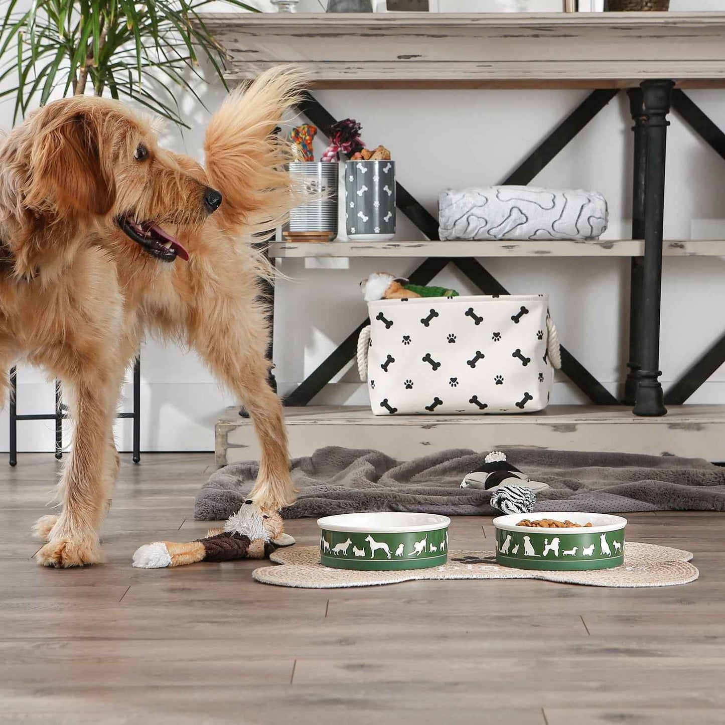 Bone Dry Ceramic Dog Bowl Set, Large 7.5", Microwave & Dishwasher Safe, Hunter Green, 2-Pack
