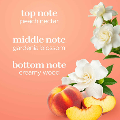 Body Fantasies Signature Fragrance Body Spray – Sweet Sunrise 3.2 fl oz