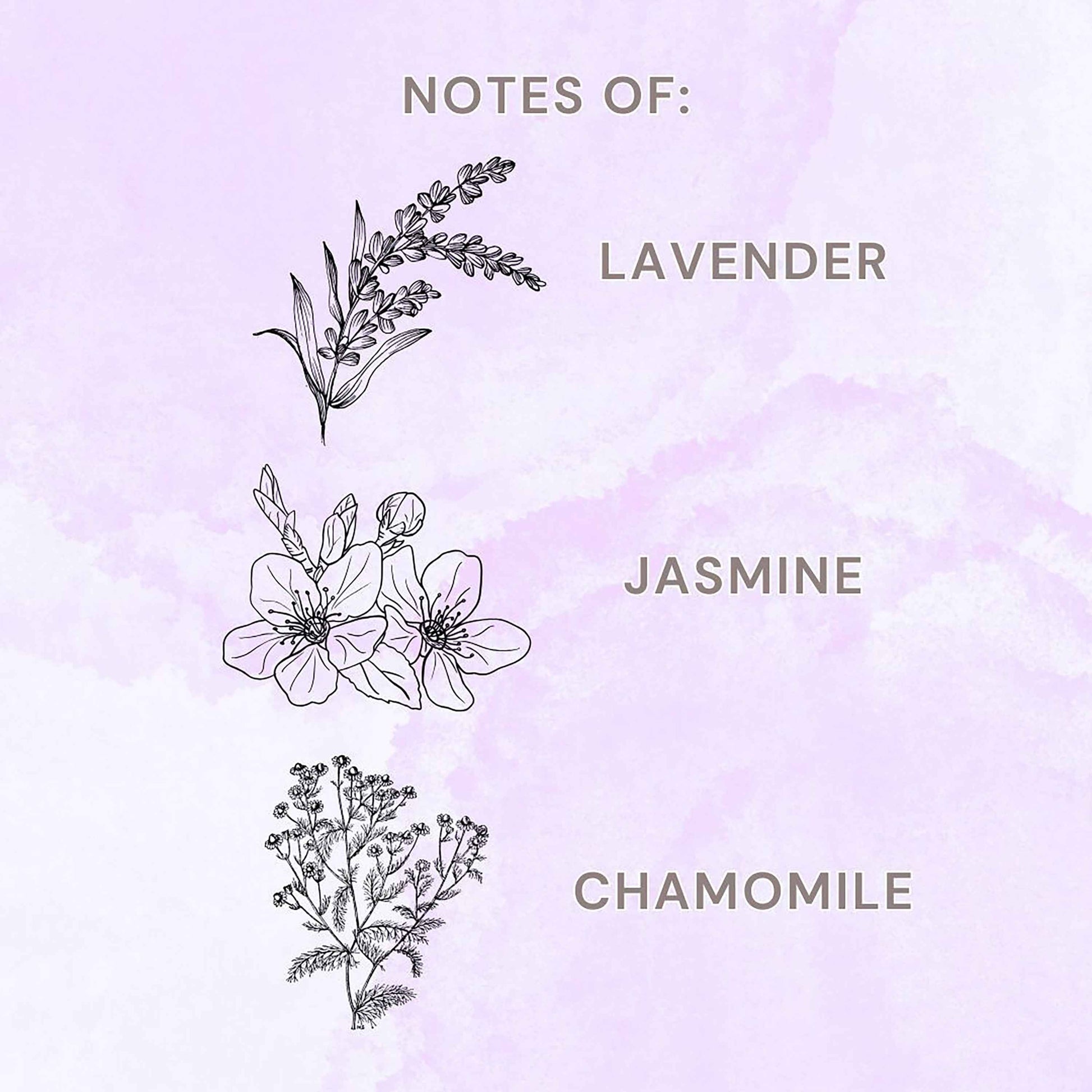 Allswell Relax Scented Reed Diffuser – Lavender, Jasmine & Chamomile – 3 Fl Oz (90mL) with 8 Synthetic Reeds
