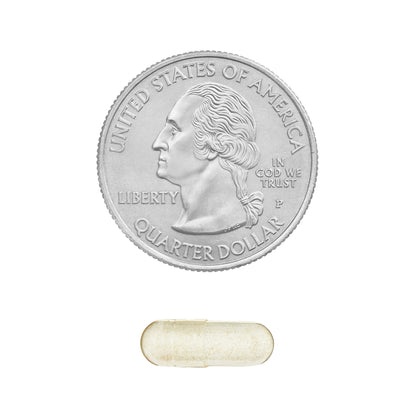 Equate Gas Relief and Prevention Food Enzyme Capsules – 100 Count