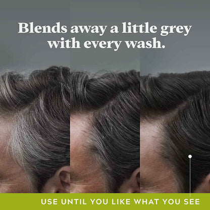 Just For Men Control GX Grey Reducing Shampoo – Gradual Grey Blending with Keratin, 4 fl oz