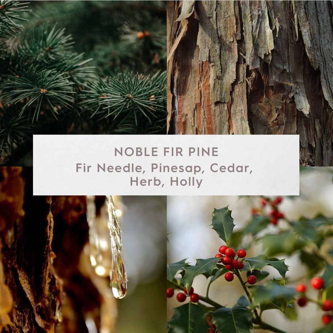 Better Homes and Gardens Noble Fir & Pine Candle 16.1oz | Fresh Evergreen Winter Scent