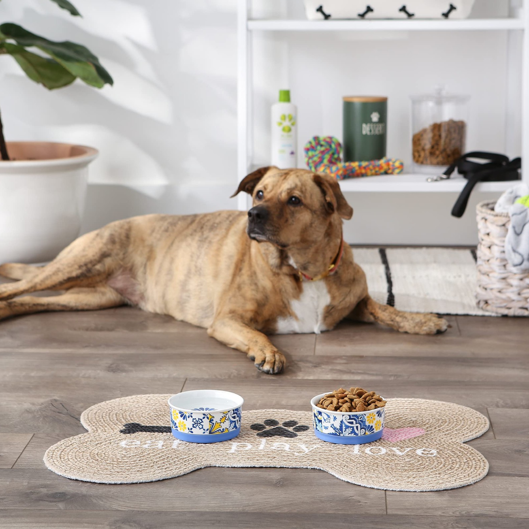 Pet Bowl – Portuguese Azulejos Design | Small 4.25" D x 2" H (Set of 2) Bone Dry