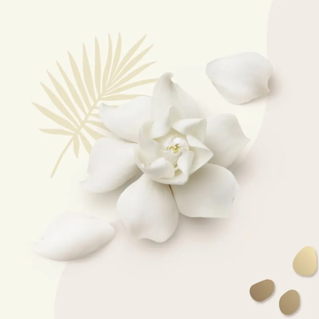 Beloved White Gardenia & Coconut Water Body Cream – 10 oz Beloved