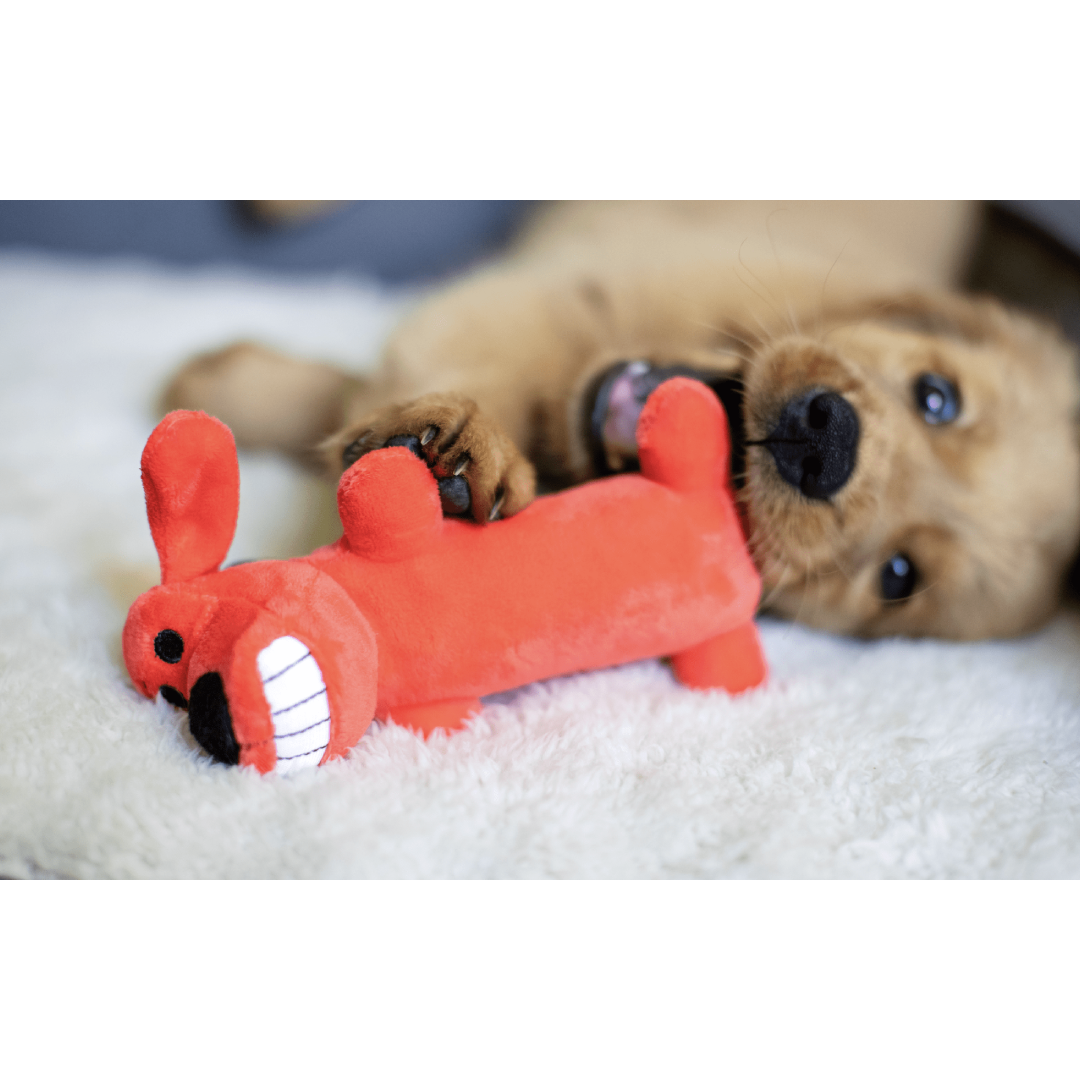 Multipet Smiling Loofa Plush Dog Toy with Squeaker, 6 inch Multipet