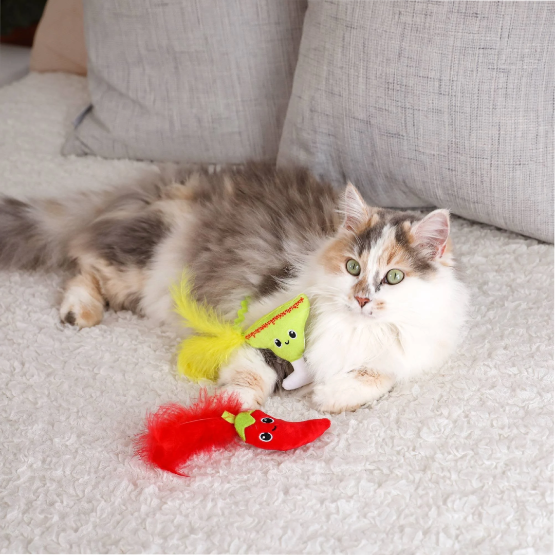 Quirky Kitty Spicy Meowgarita Cat Toy 2-Pack | Plush Interactive Cat Toys Quirky Kitty
