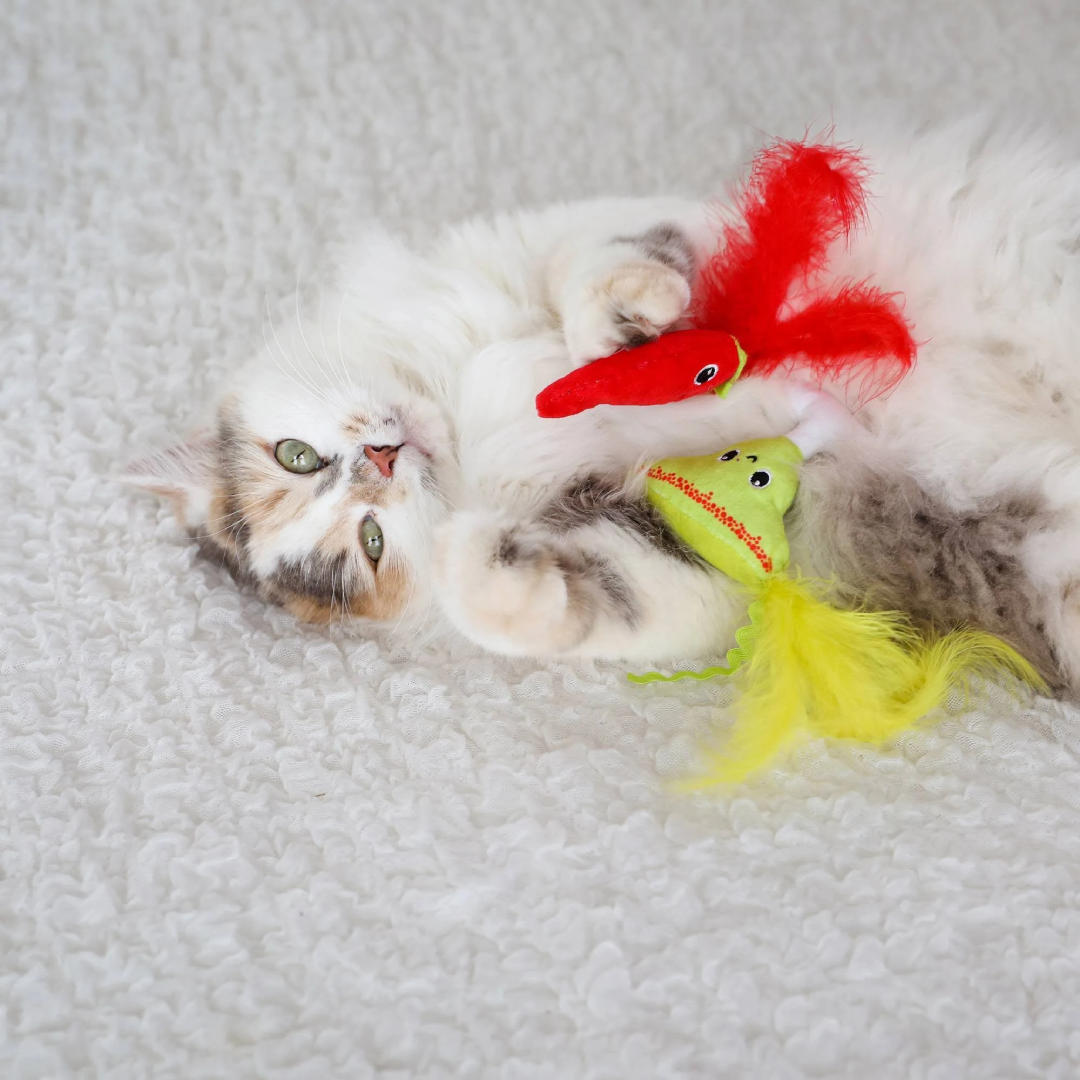 Quirky Kitty Spicy Meowgarita Cat Toy 2-Pack | Plush Interactive Cat Toys Quirky Kitty