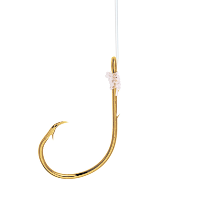Lazer Sharp Snelled Non-Offset Baitholder Circle Hook – Size 7/0 | 18" Mono Leader Gold Fishing Rig Lazer Sharp