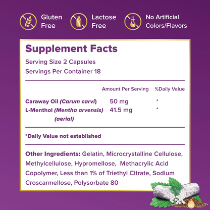 FDgard Digestive Health Supplement with Caraway Oil & L-Menthol for Occasional Nausea, Bloating & Upset Stomach | 36 Capsules FDgard