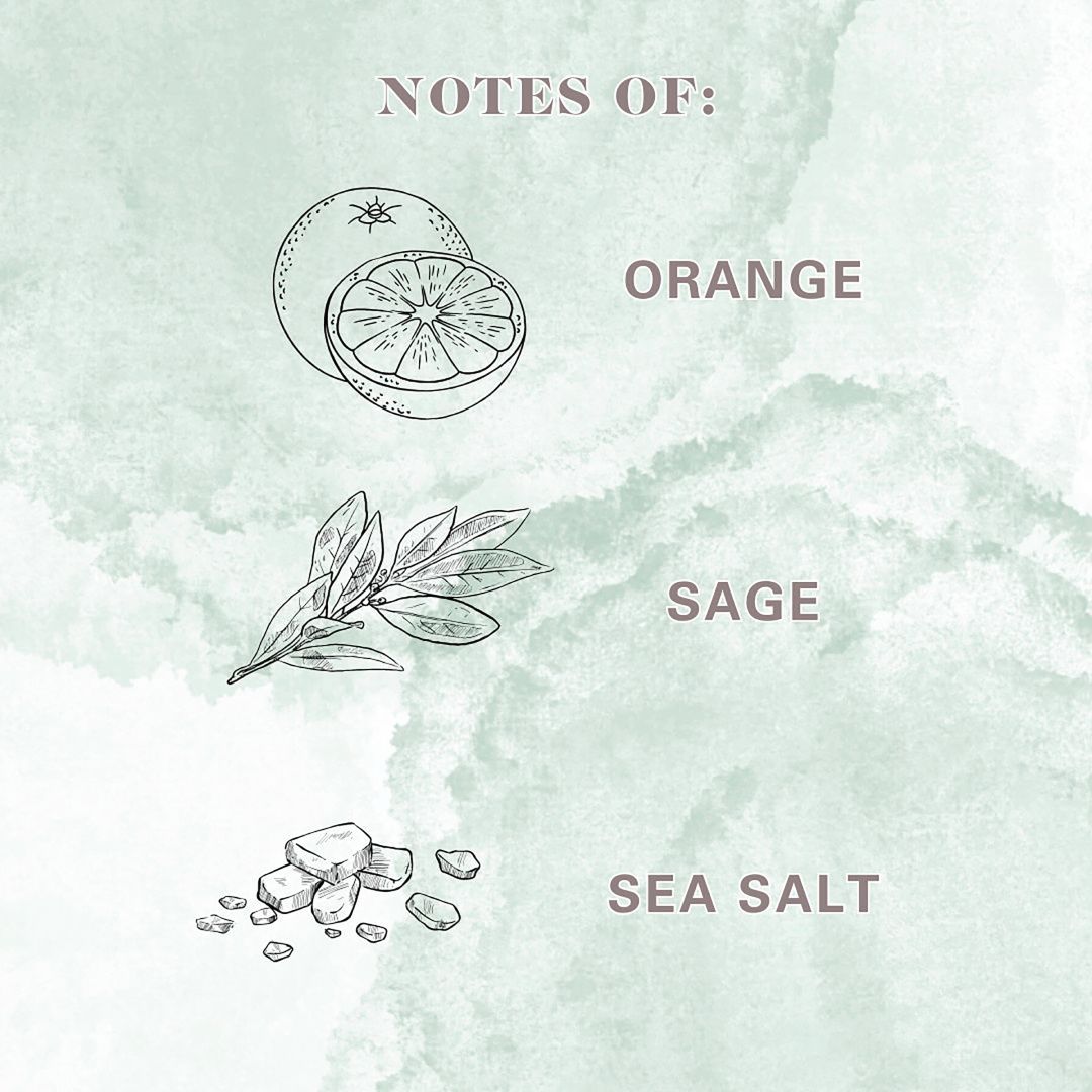Allswell Cleanse Room & Linen Spray – Orange, Sage & Sea Salt - 3.4 fl oz Allswell
