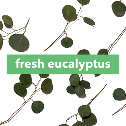 The Body Lab Fragrance Dose – Fresh Eucalyptus, 0.2 fl. oz. The Body Lab