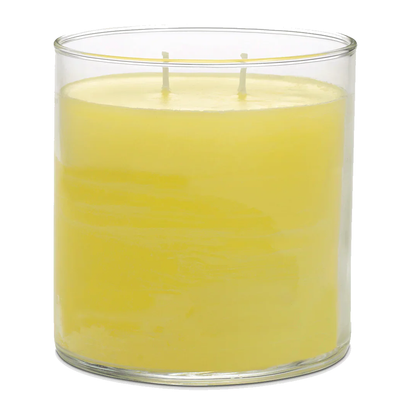 PartyLite GloLite Wild Lemongrass Citronella 2-Wick Jar Candle – 15.5 oz PartyLite