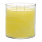 PartyLite GloLite Wild Lemongrass Citronella 2-Wick Jar Candle – 15.5 oz PartyLite