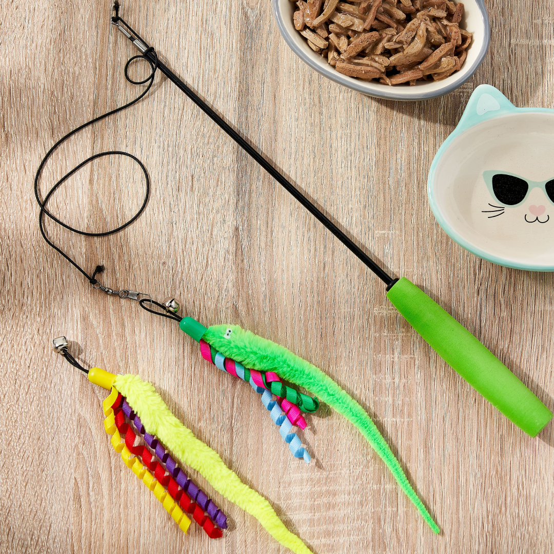 Vibrant Life Expandable Worm Teaser Wand Cat Toy – Interactive Cat Toy Vibrant life
