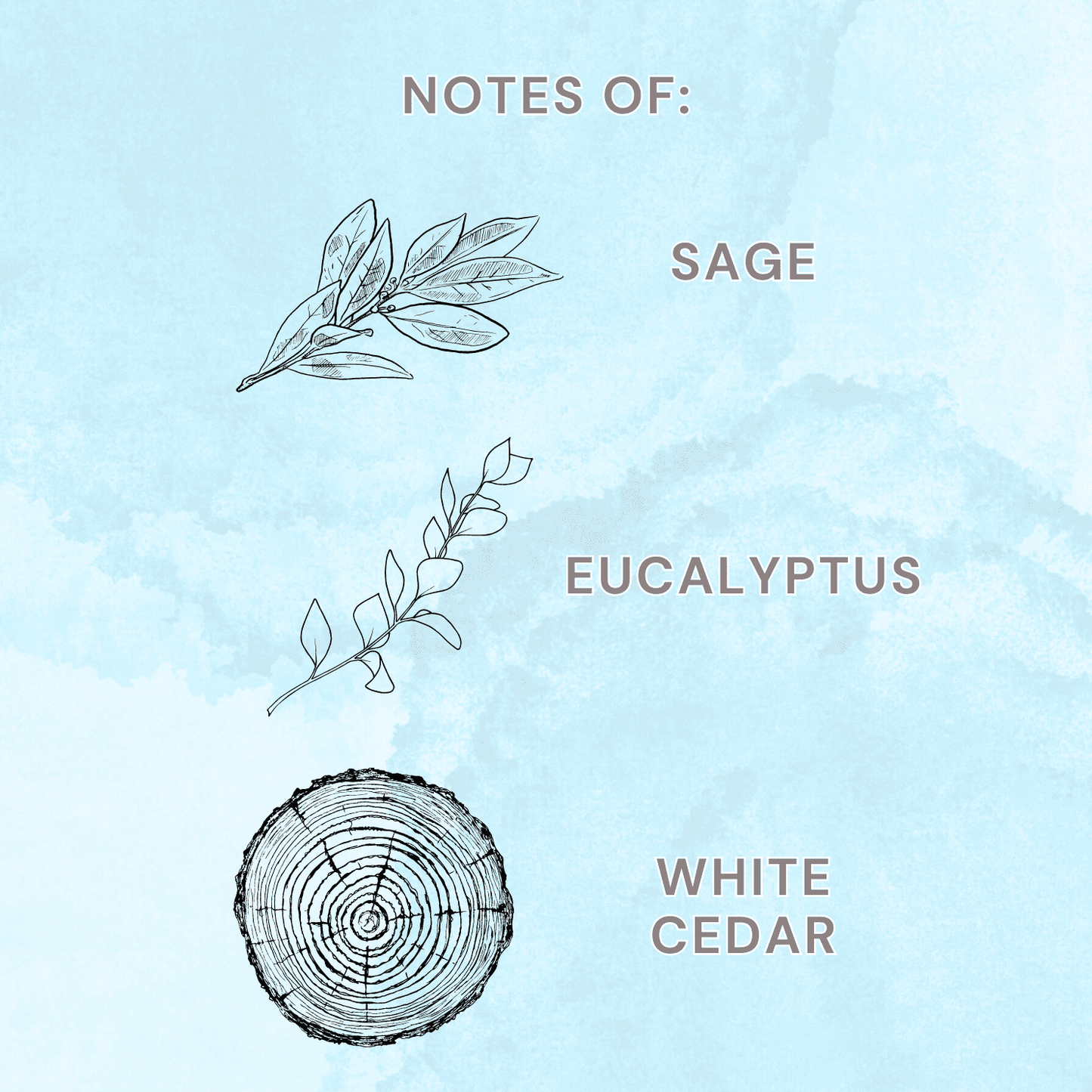 Allswell Mindful Room & Linen Spray – Sage, Eucalyptus & White Cedar – 3.4 fl oz (100mL)