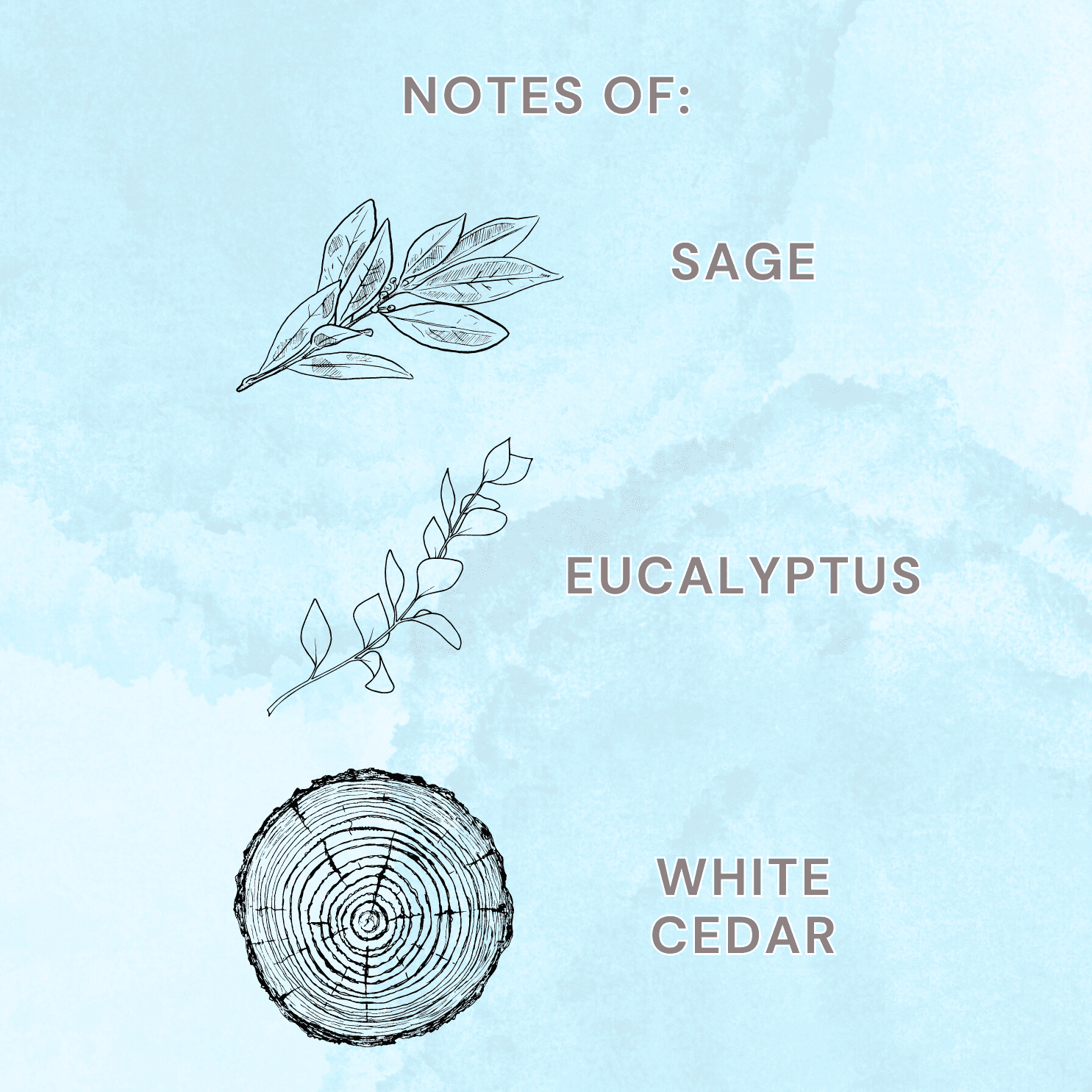 Allswell Mindful Room & Linen Spray – Sage, Eucalyptus & White Cedar – 3.4 fl oz (100mL)