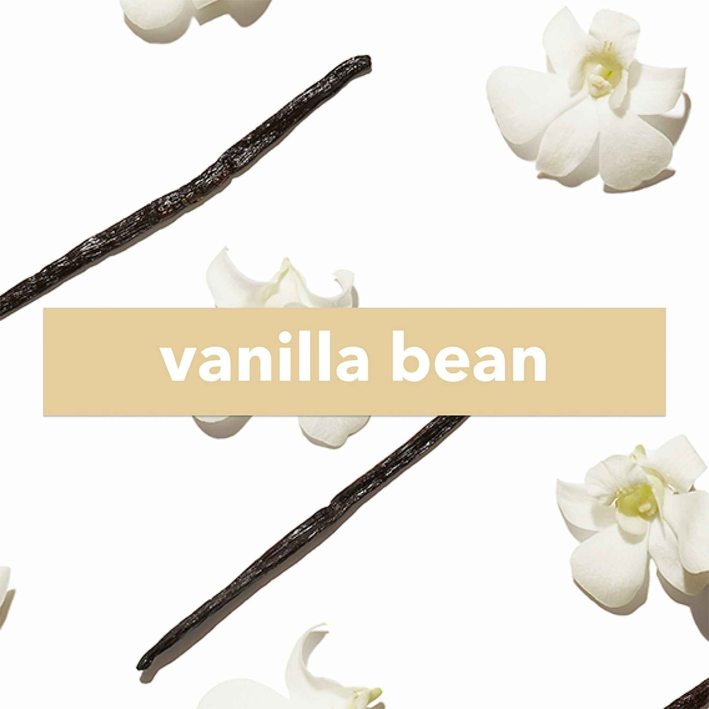 Vanilla Bean Fragrance Spray – Travel Size Perfume | The Body Lab (0.2 fl. oz.)