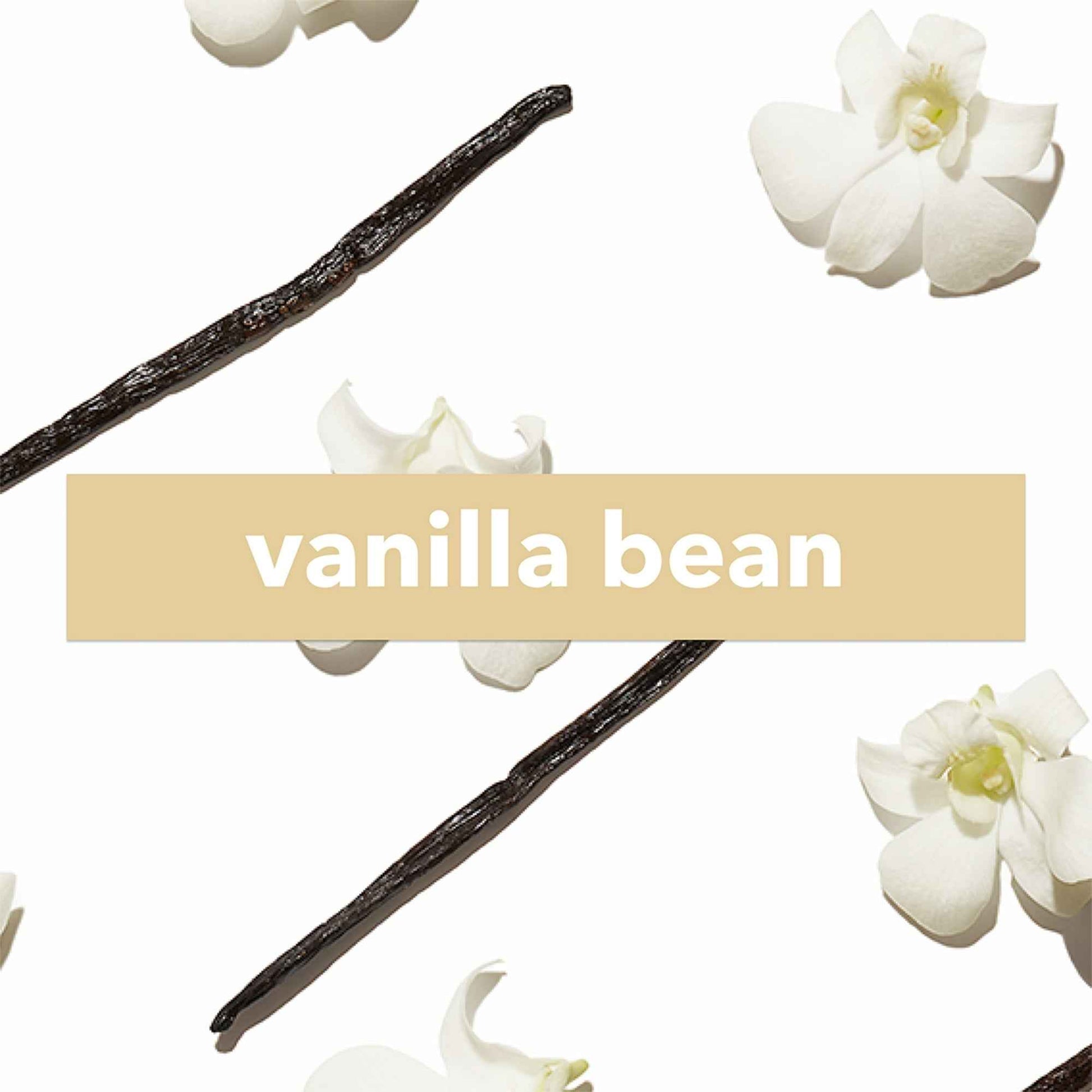 Vanilla Bean Fragrance Spray – Travel Size Perfume | The Body Lab (0.2 fl. oz.)