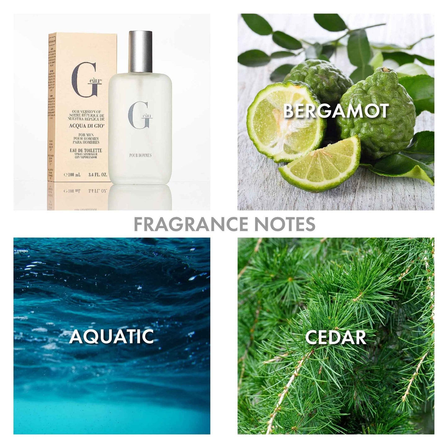 Geàu Men's Eau De Toilette Spray – Fresh Aquatic Scent, 3.4 fl oz