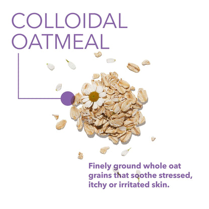 Calming Body Wash for Sensitive Skin – Colloidal Oatmeal & Bisabolol | The Body Lab 19 fl oz