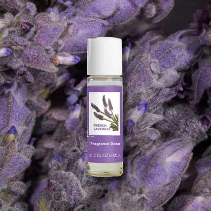 The Body Lab Fragrance Dose – French Lavender Perfume Oil, 0.2 fl oz